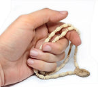 Original Tulsi Kanthi Round Beads Mala with Radha Pendent